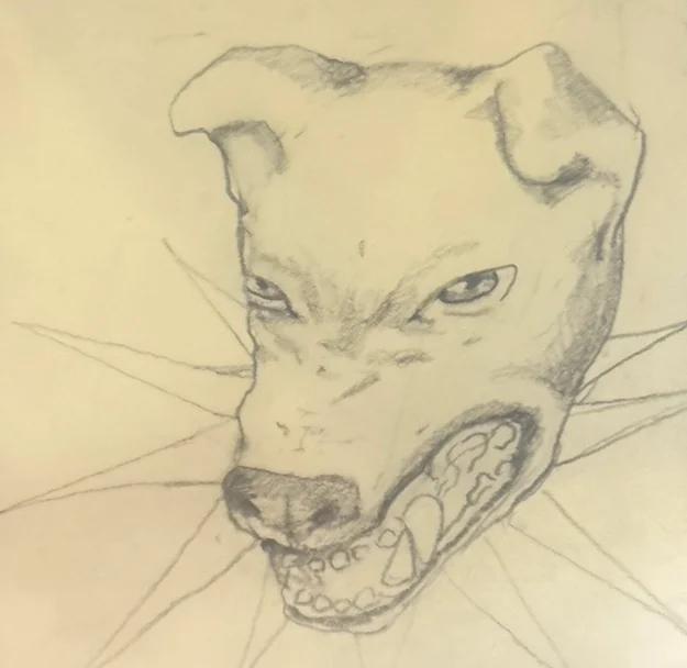K9